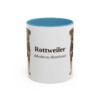 11oz Rottweiler Latin Mug, Light Blue, front view