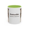 11oz Rottweiler Latin Mug, Light Green, front view