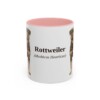 11oz Rottweiler Latin Mug, Pink, front view
