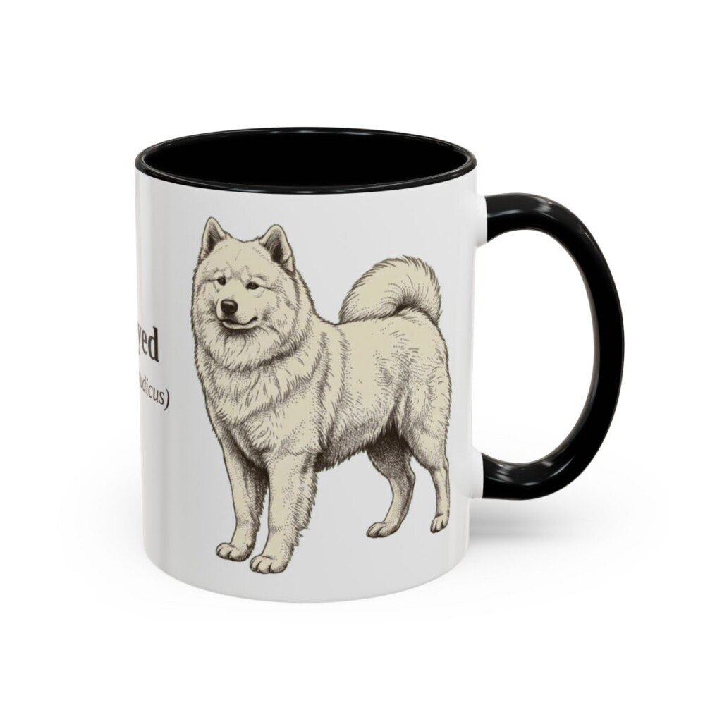 11oz-samoyed-mug-latin-black-right 11oz Samoyed Latin Mug, Black, right side view