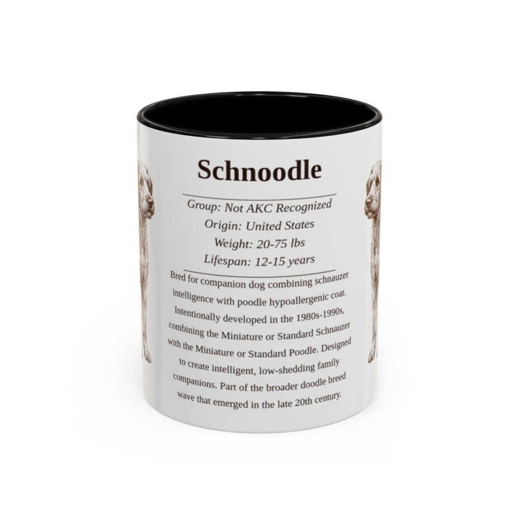 11oz Schnoodle Mug, Black, front view