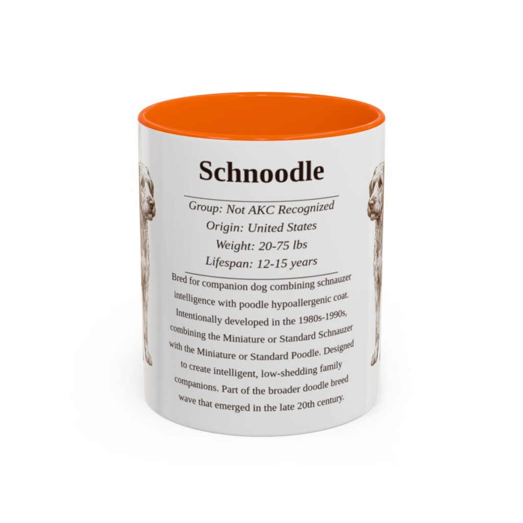 11oz Schnoodle Mug, Orange, front view