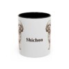 11oz Shichon Mug, Black, front view