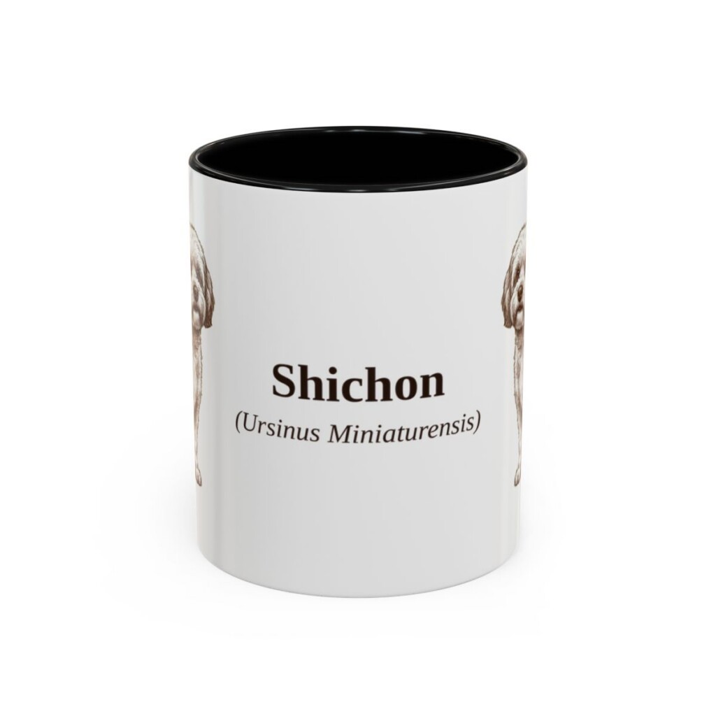 11oz Shichon Latin Mug, Black, front view