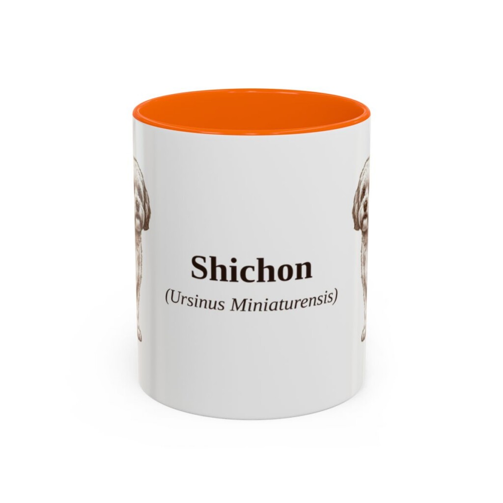 11oz Shichon Latin Mug, Orange, front view