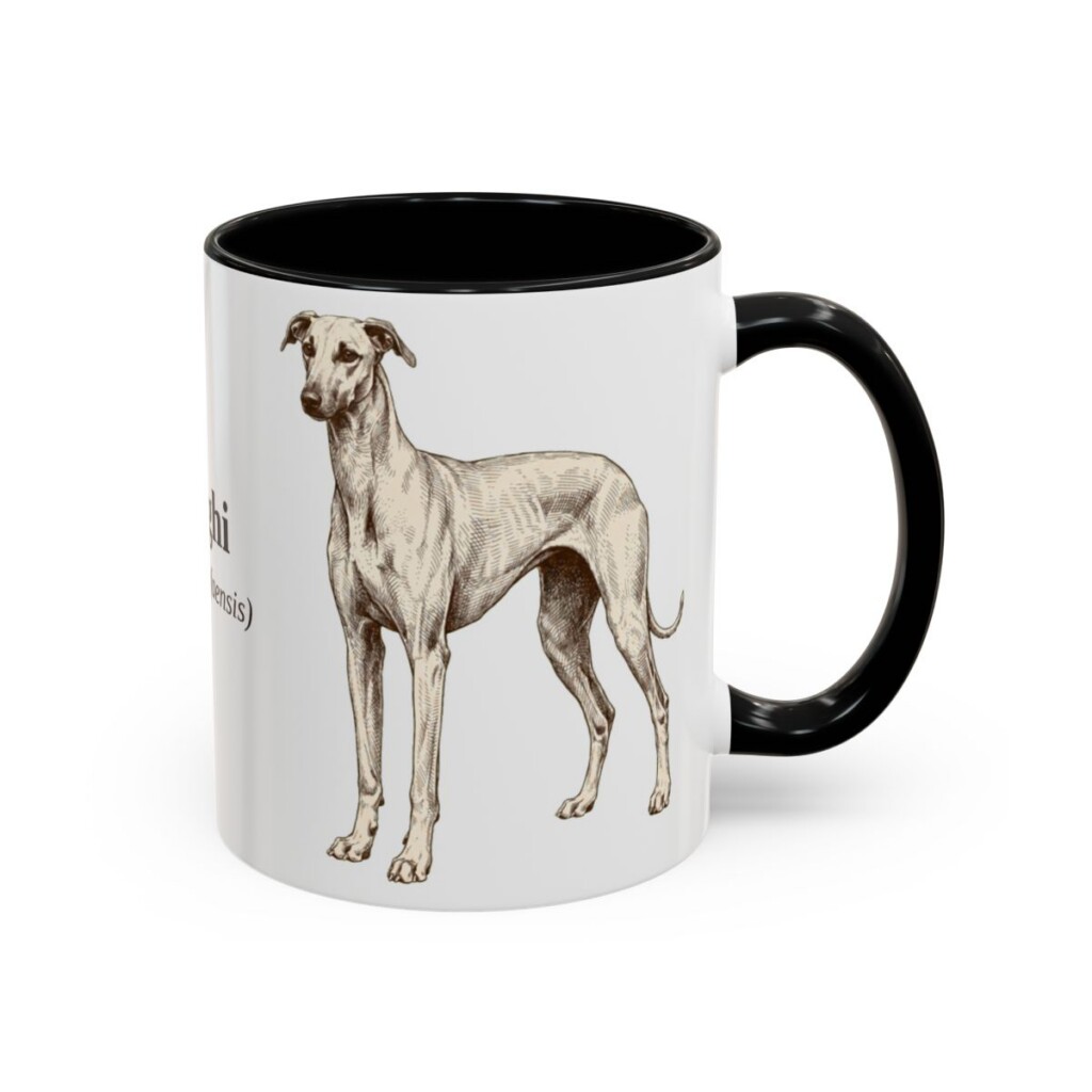 11oz Sloughi Latin Mug, Black, right side view