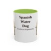 11oz Spanish Water Dog Latin Mug, Light Green, front view