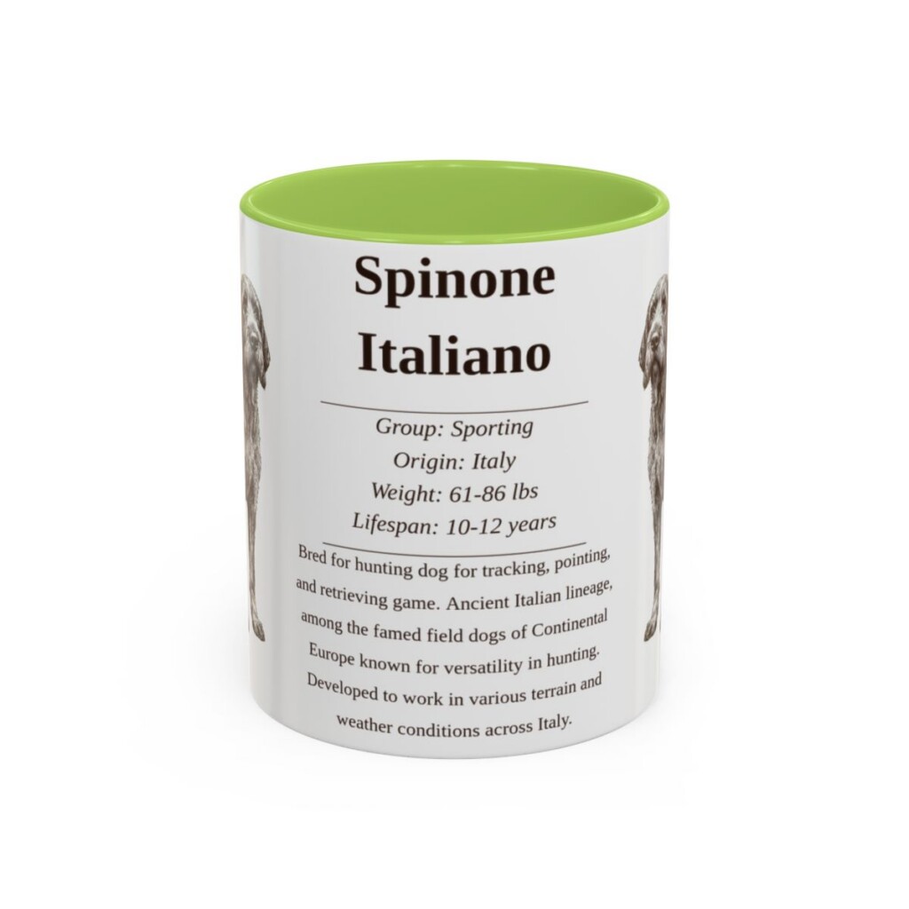 11oz Spinone Italiano Mug, Light Green, front view