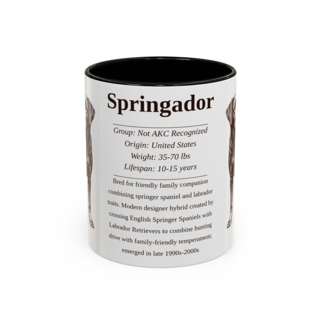 11oz Springador Mug, Black, front view