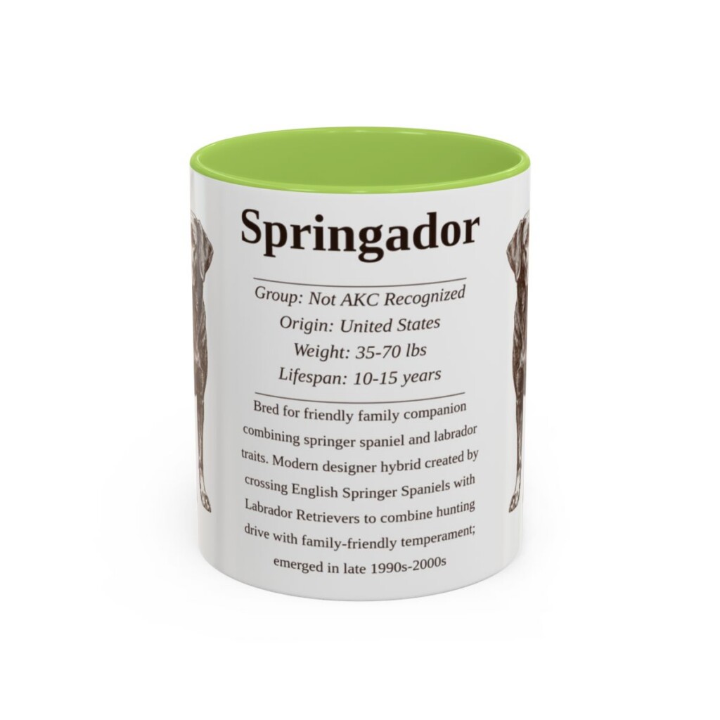 11oz Springador Mug, Light Green, front view