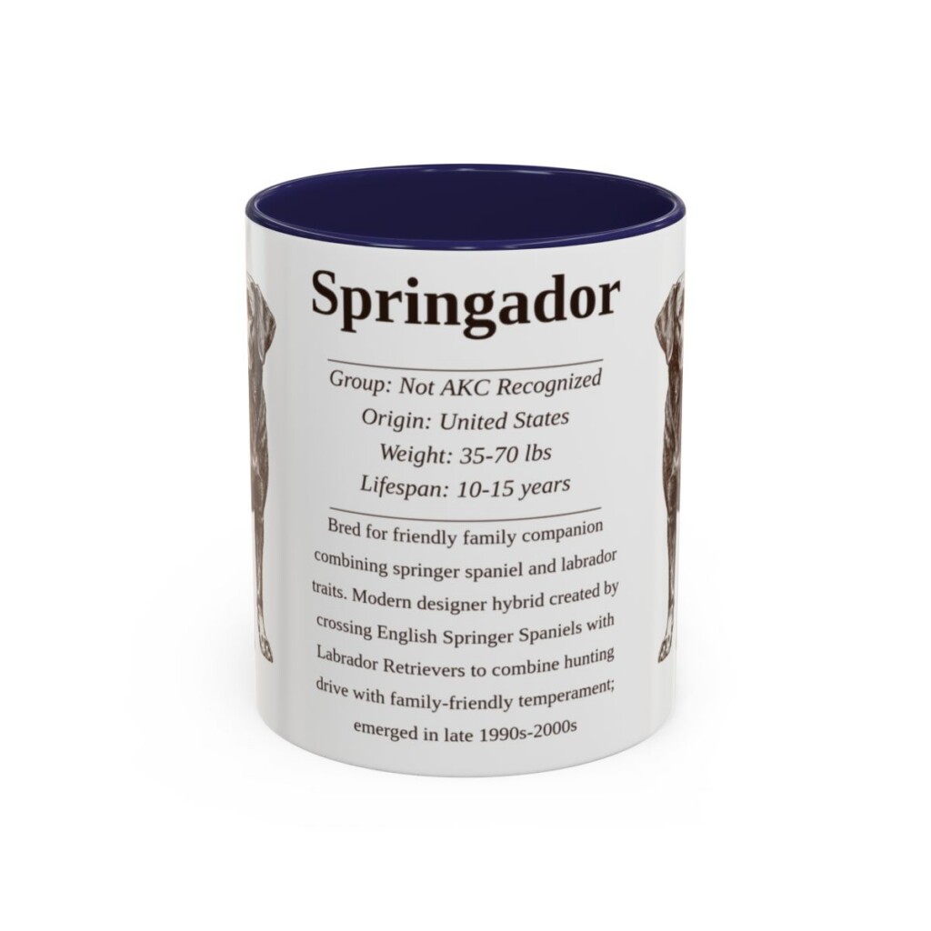 11oz Springador Mug, Navy, front view