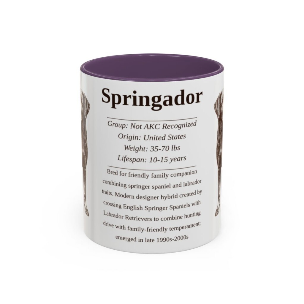 11oz Springador Mug, Purple, front view
