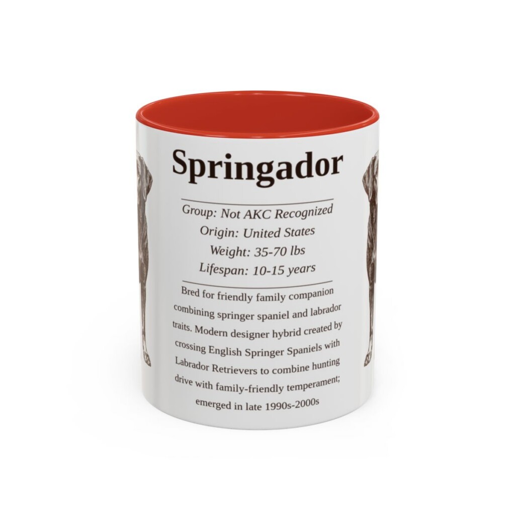 11oz Springador Mug, Red, front view