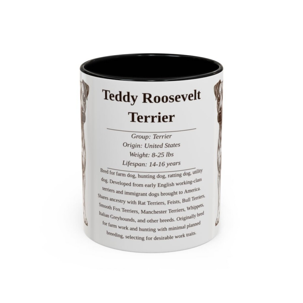 11oz Teddy Roosevelt Terrier Mug, Black, front view