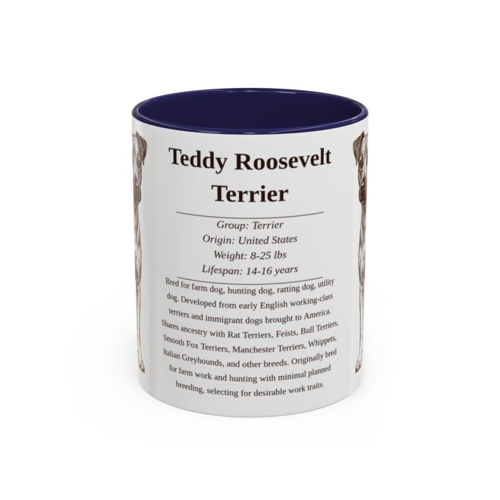 11oz Teddy Roosevelt Terrier Mug, Navy, front view