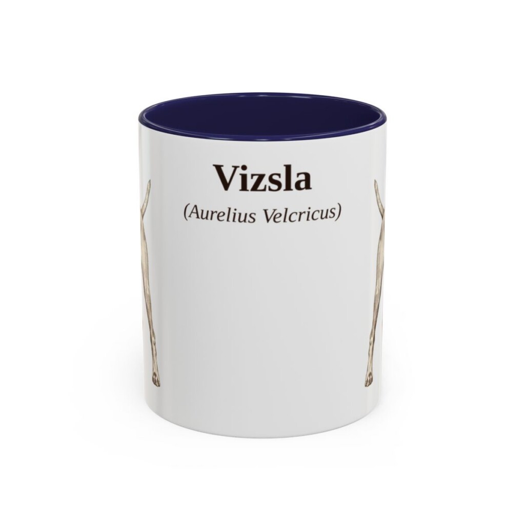 11oz-vizsla-mug-latin-navy 11oz Vizsla Latin Mug, Navy, front view
