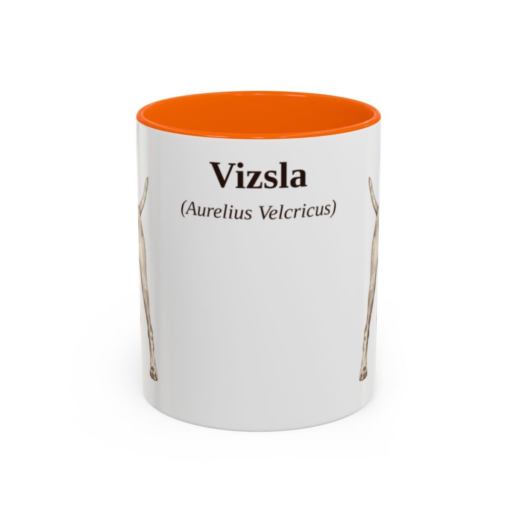 11oz-vizsla-mug-latin-orange 11oz Vizsla Latin Mug, Orange, front view