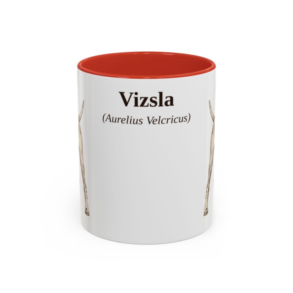 11oz-vizsla-mug-latin-red 11oz Vizsla Latin Mug, Red, front view