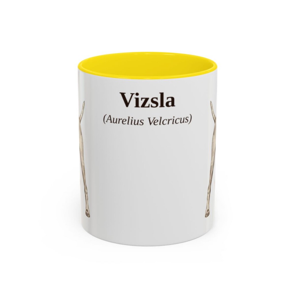 11oz-vizsla-mug-latin-yellow 11oz Vizsla Latin Mug, Yellow, front view