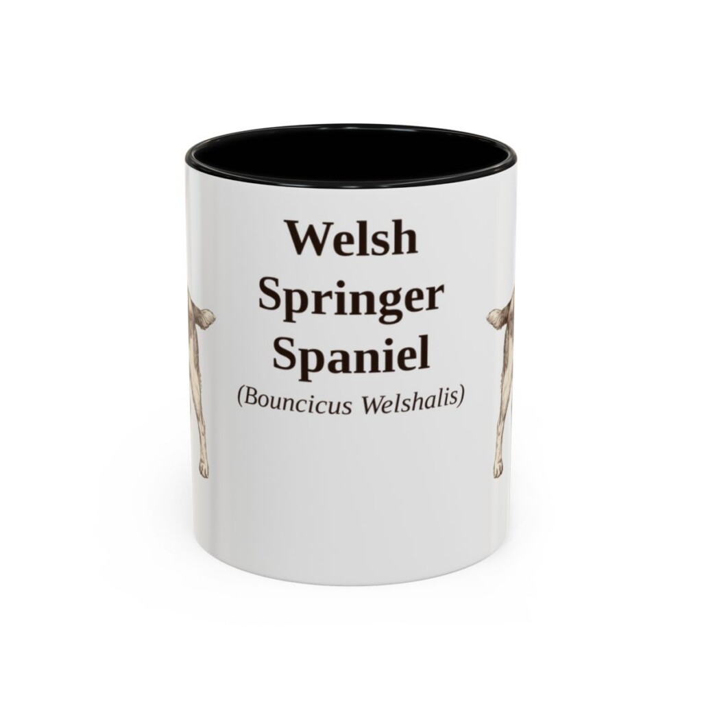 11oz Welsh Springer Spaniel Latin Mug, Black, front view