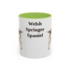 11oz Welsh Springer Spaniel Mug, Light Green, front view