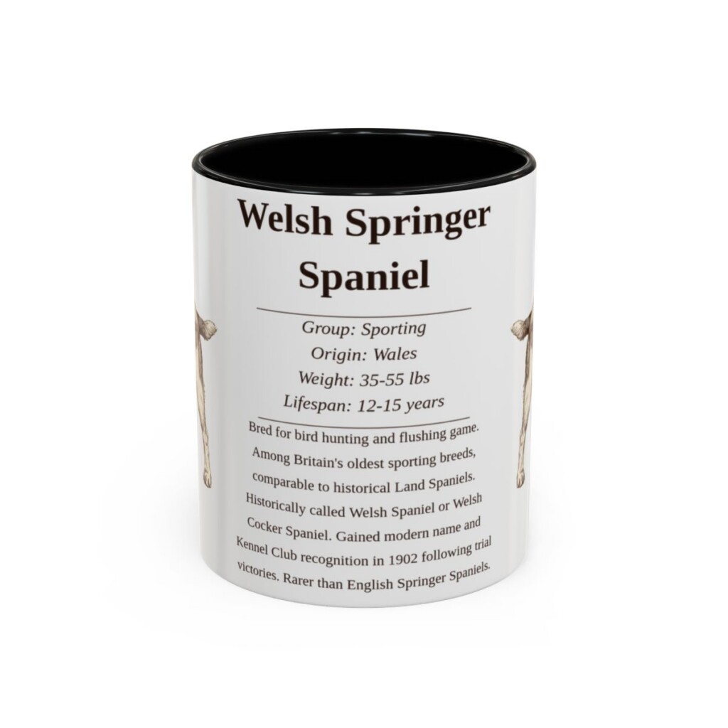 11oz Welsh Springer Spaniel Mug, Black, front view