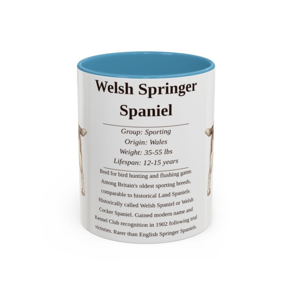 11oz Welsh Springer Spaniel Mug, Light Blue, front view