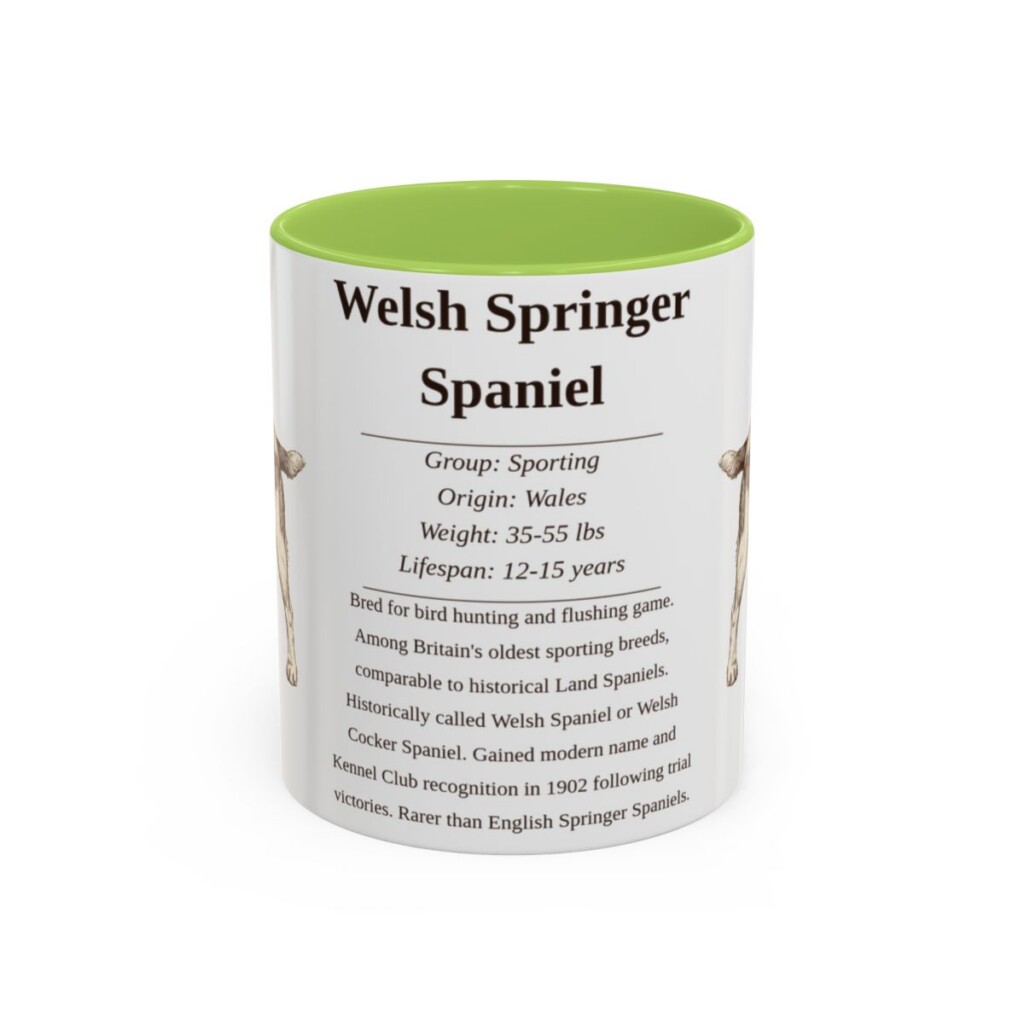 11oz Welsh Springer Spaniel Mug, Light Green, front view