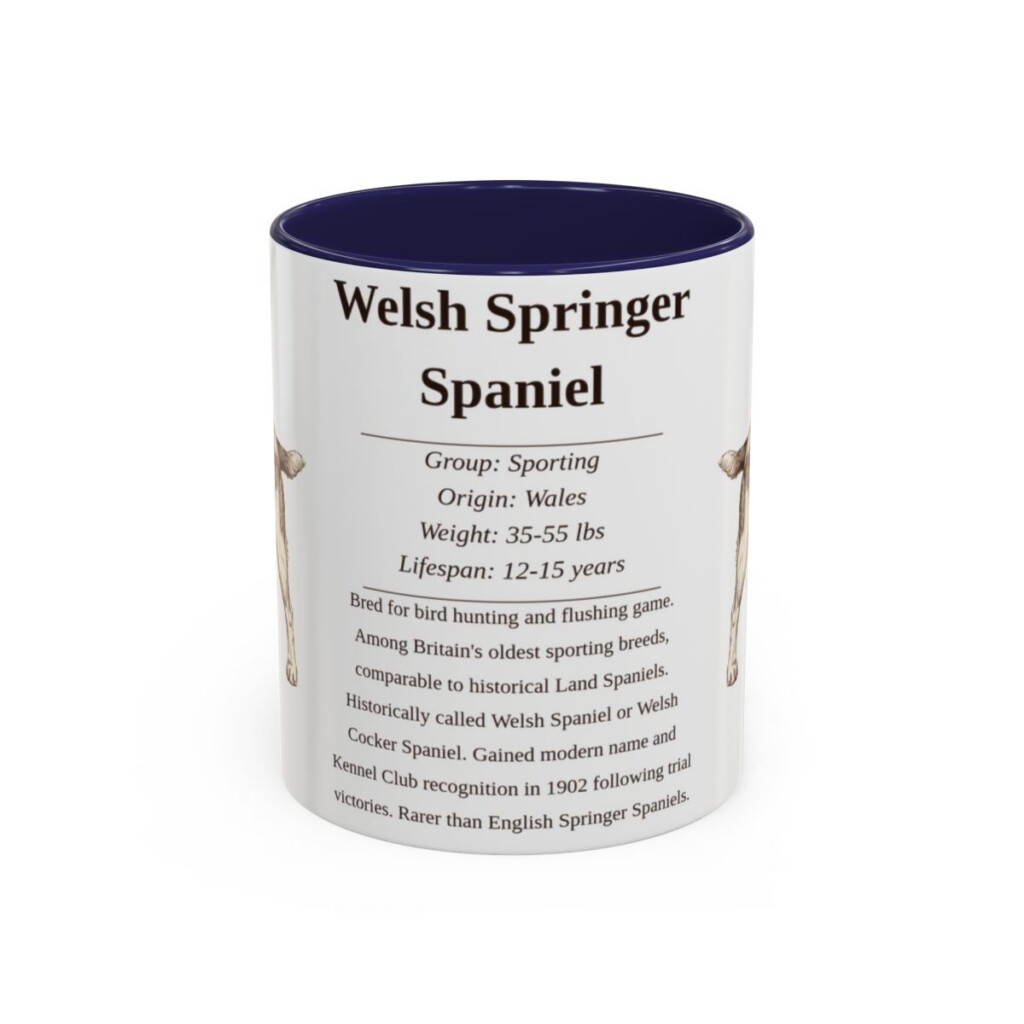 11oz Welsh Springer Spaniel Mug, Navy, front view