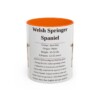 11oz Welsh Springer Spaniel Mug, Orange, front view