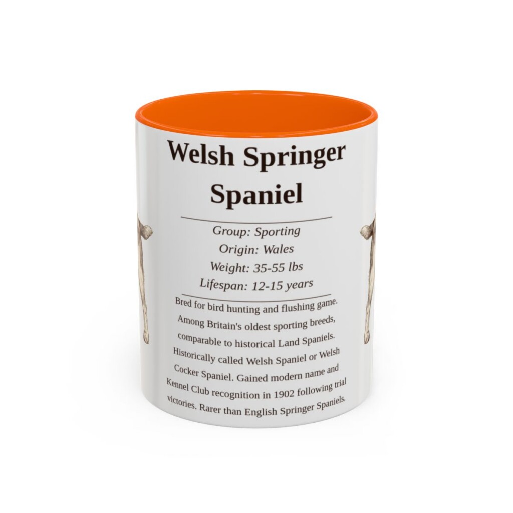 11oz Welsh Springer Spaniel Mug, Orange, front view
