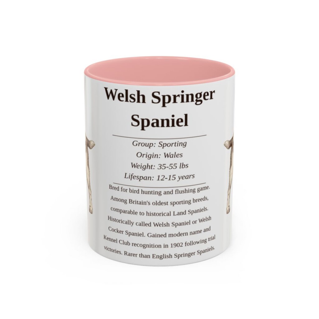 11oz Welsh Springer Spaniel Mug, Pink, front view