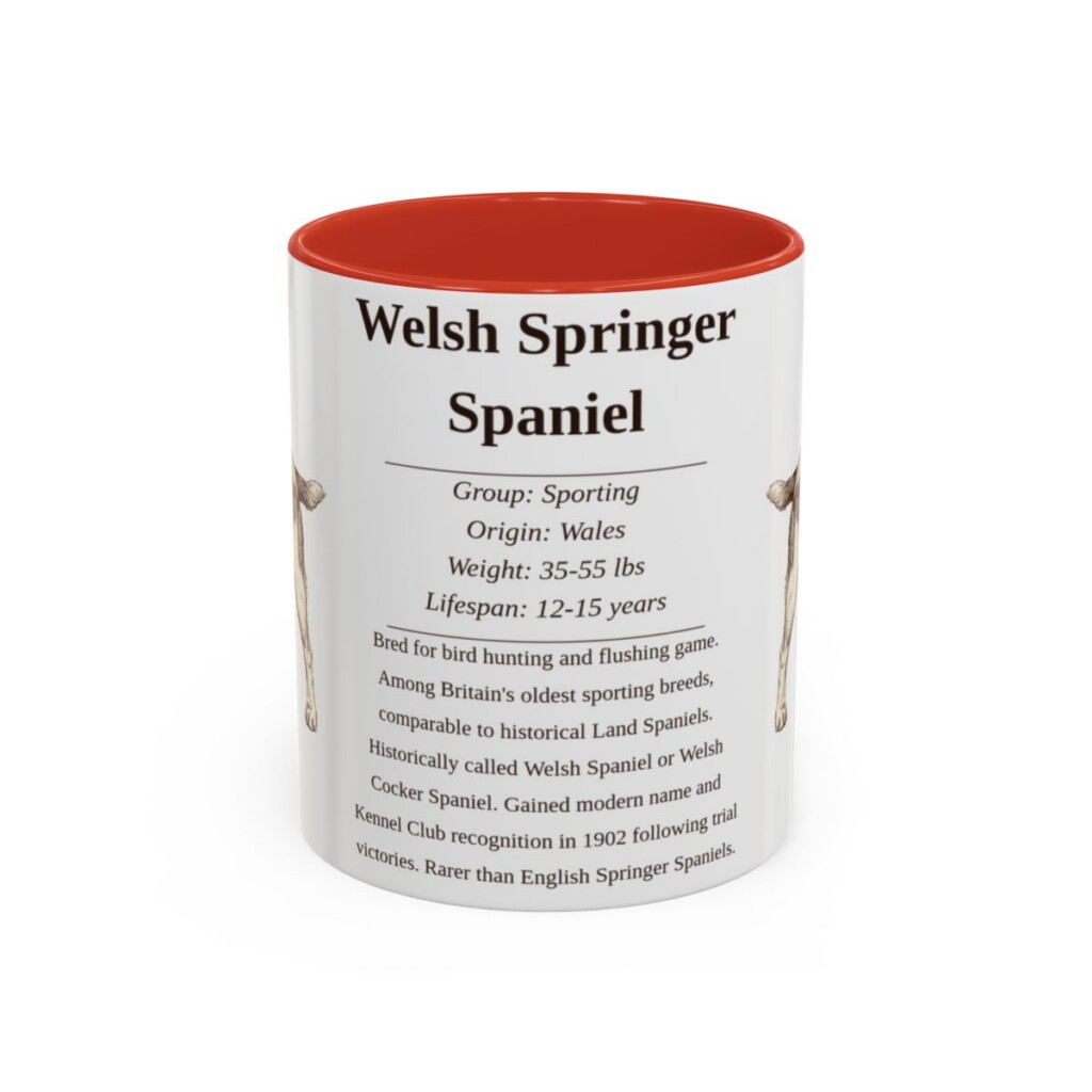 11oz Welsh Springer Spaniel Mug, Red, front view