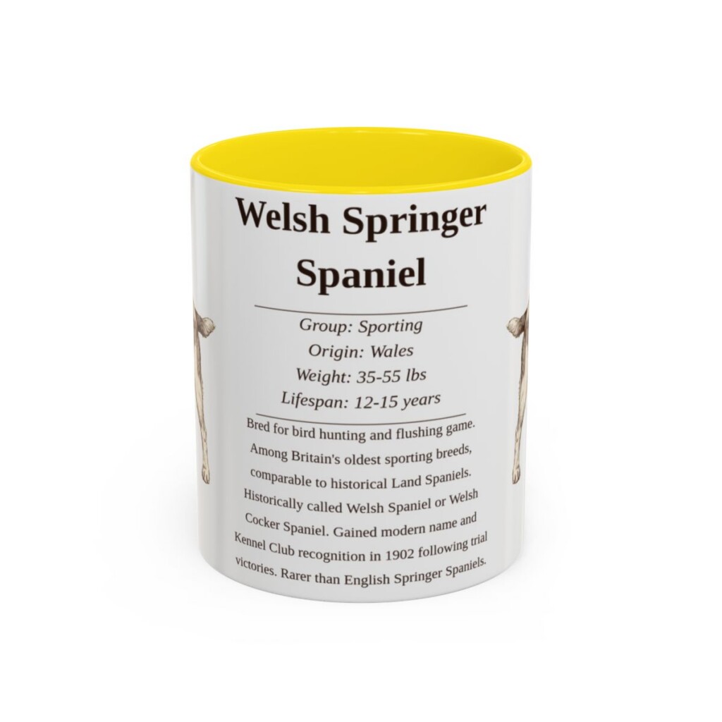 11oz Welsh Springer Spaniel Mug, Yellow, front view