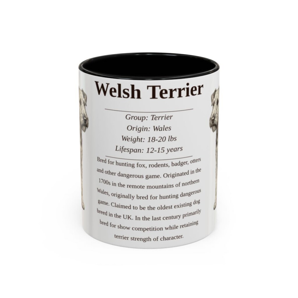 11oz Welsh Terrier Mug, Black, front view