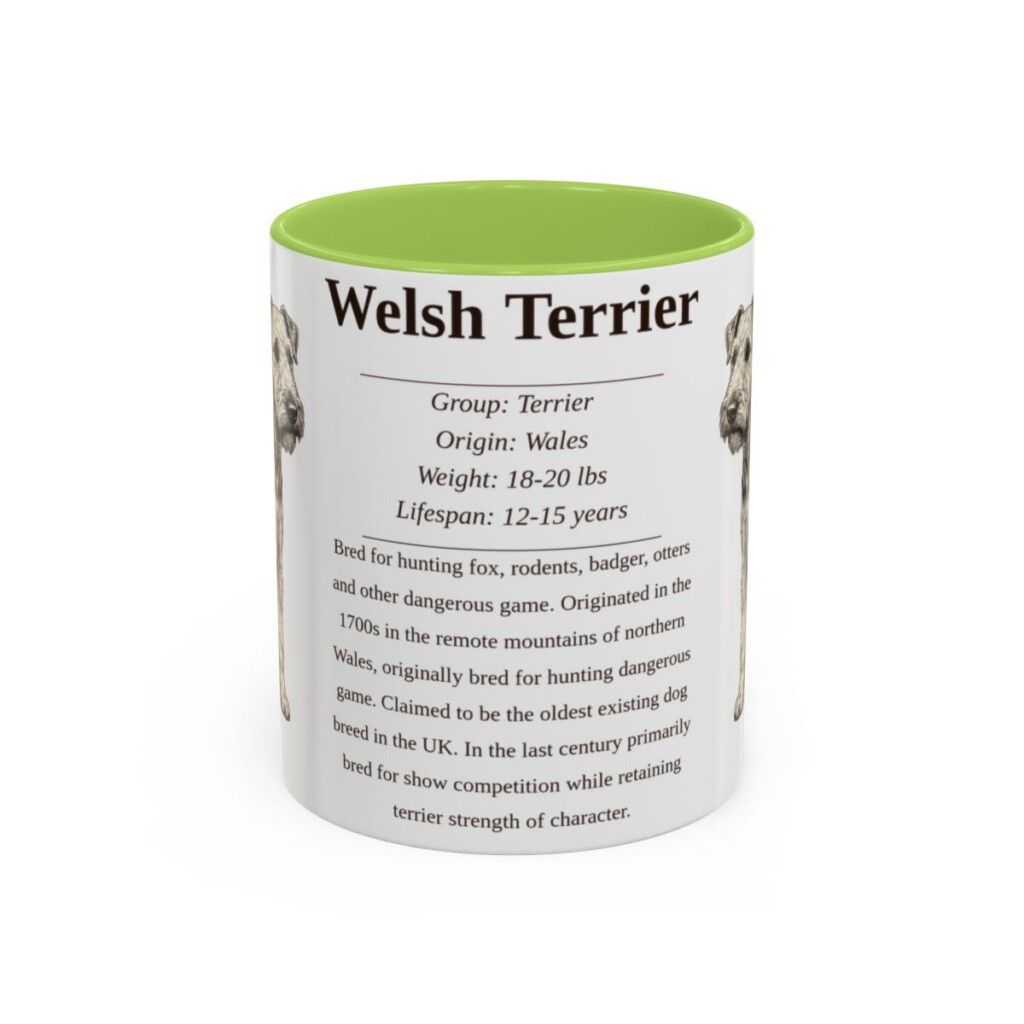 11oz Welsh Terrier Mug, Light Green, front view