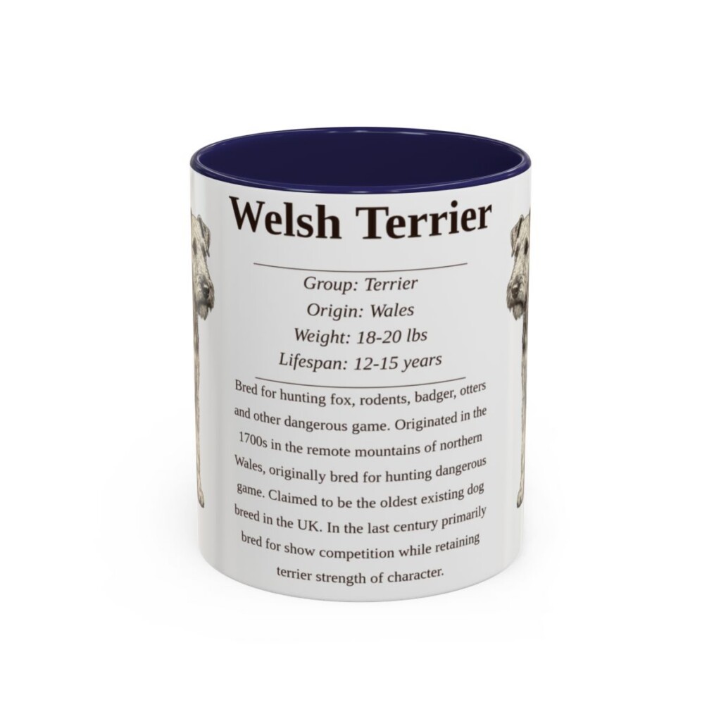 11oz Welsh Terrier Mug, Navy, front view