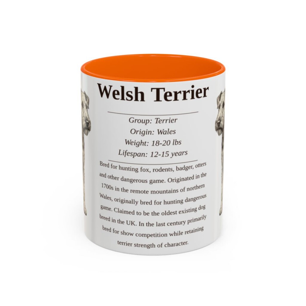 11oz Welsh Terrier Mug, Orange, front view
