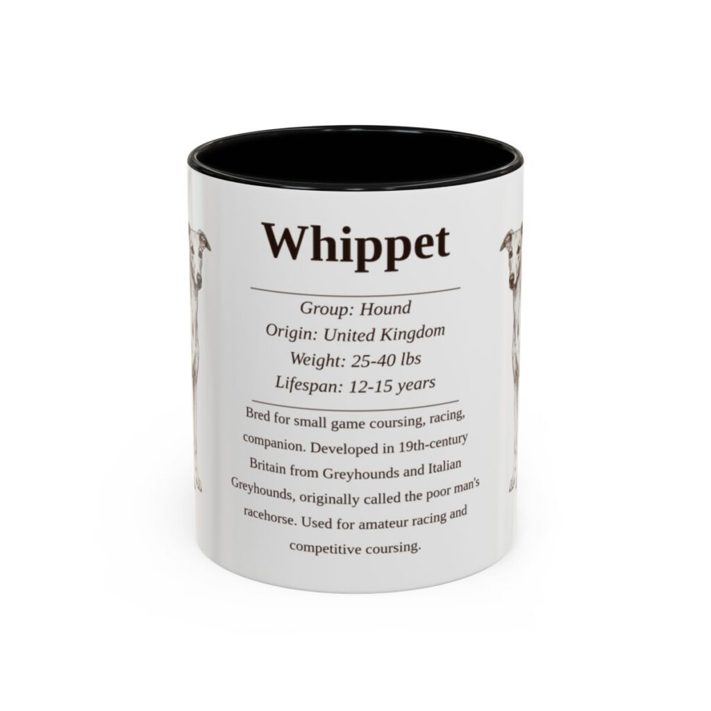 11oz Whippet Mug, Black, front view