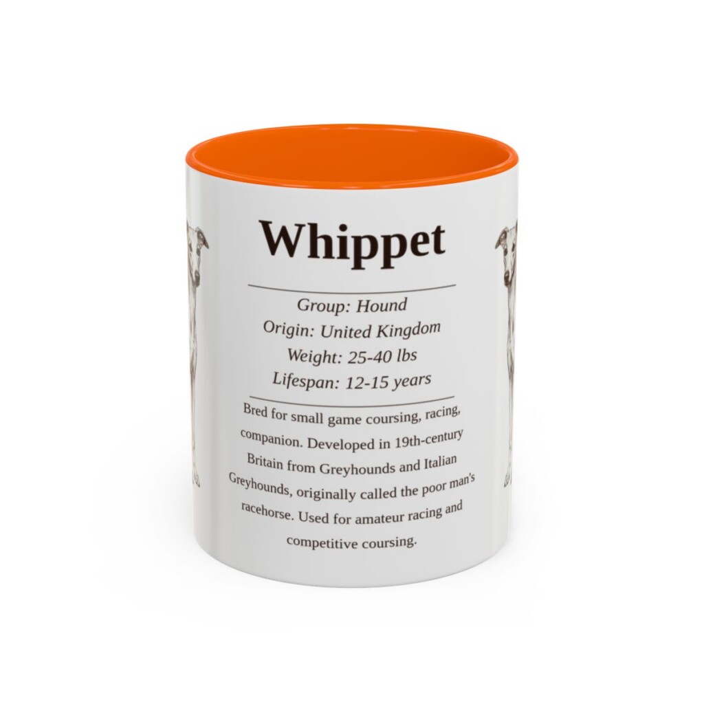 11oz Whippet Mug, Orange, front view
