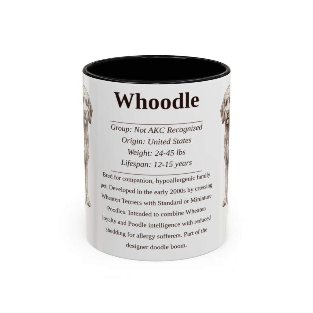 11oz-whoodle-mug-writeup-black-front 11oz Whoodle Mug, Black, front view