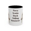 12557229572749104712_2048.jpeg 11oz Nova Scotia Duck Tolling Retriever Mug, Vintage Dog Portrait Coffee Mug, Dog Lover Gift