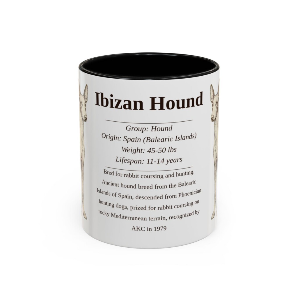 13624208226403150908_2048.jpeg 11oz Ibizan Hound Mug, Illustrated Dog Breed Facts Coffee Mug, Vintage Dog Keepsake Gift