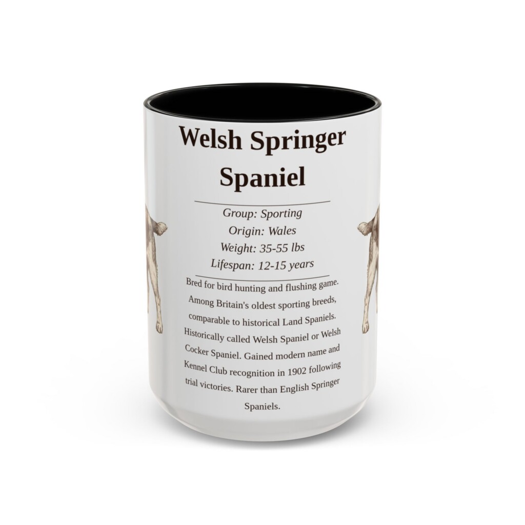 15oz Welsh Springer Spaniel Mug, Illustrated Dog Breed Facts Coffee Mug, Vintage Dog Keepsake Gift