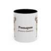 1413587455491706390_2048.jpeg 11oz Pomapoo Latin Mug, Vintage Dog Coffee Mug, Dog Lover Gift