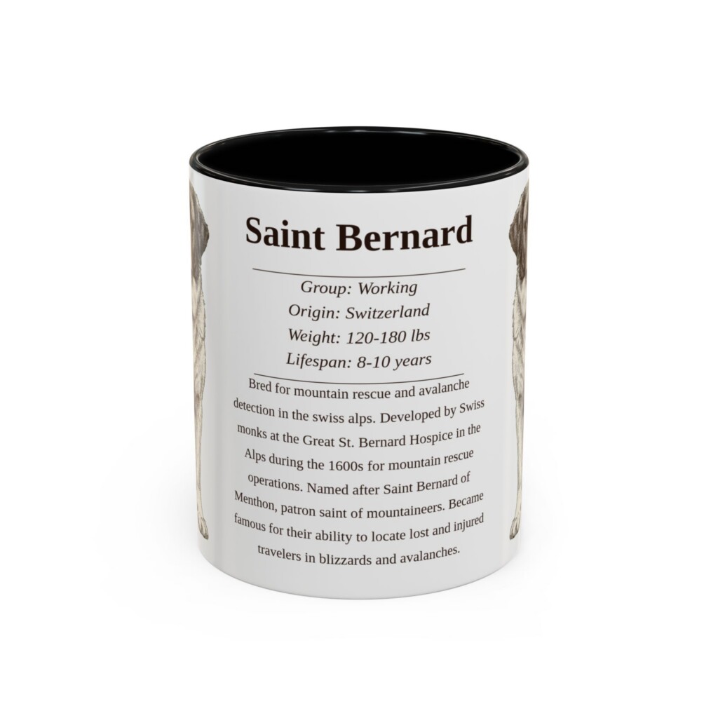 14137573336587204159_2048.jpeg 11oz Saint Bernard Mug, Illustrated Dog Breed Facts Coffee Mug, Vintage Dog Keepsake Gift
