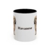 11oz Havanese Mug, Vintage Dog Portrait Coffee Mug, Dog Lover Gift