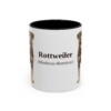 11oz Rottweiler Latin Mug, Vintage Dog Coffee Mug, Dog Lover Gift