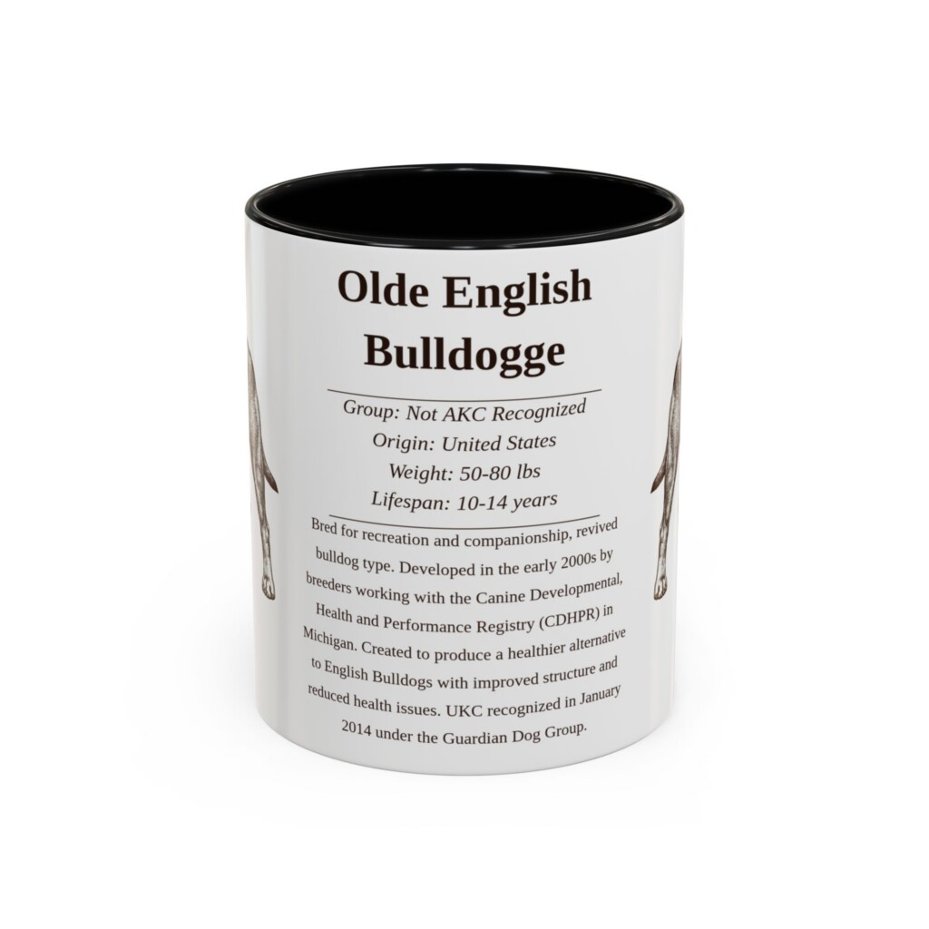 11oz Olde English Bulldogge Mug, Illustrated Dog Breed Facts Coffee Mug, Vintage Dog Keepsake Gift