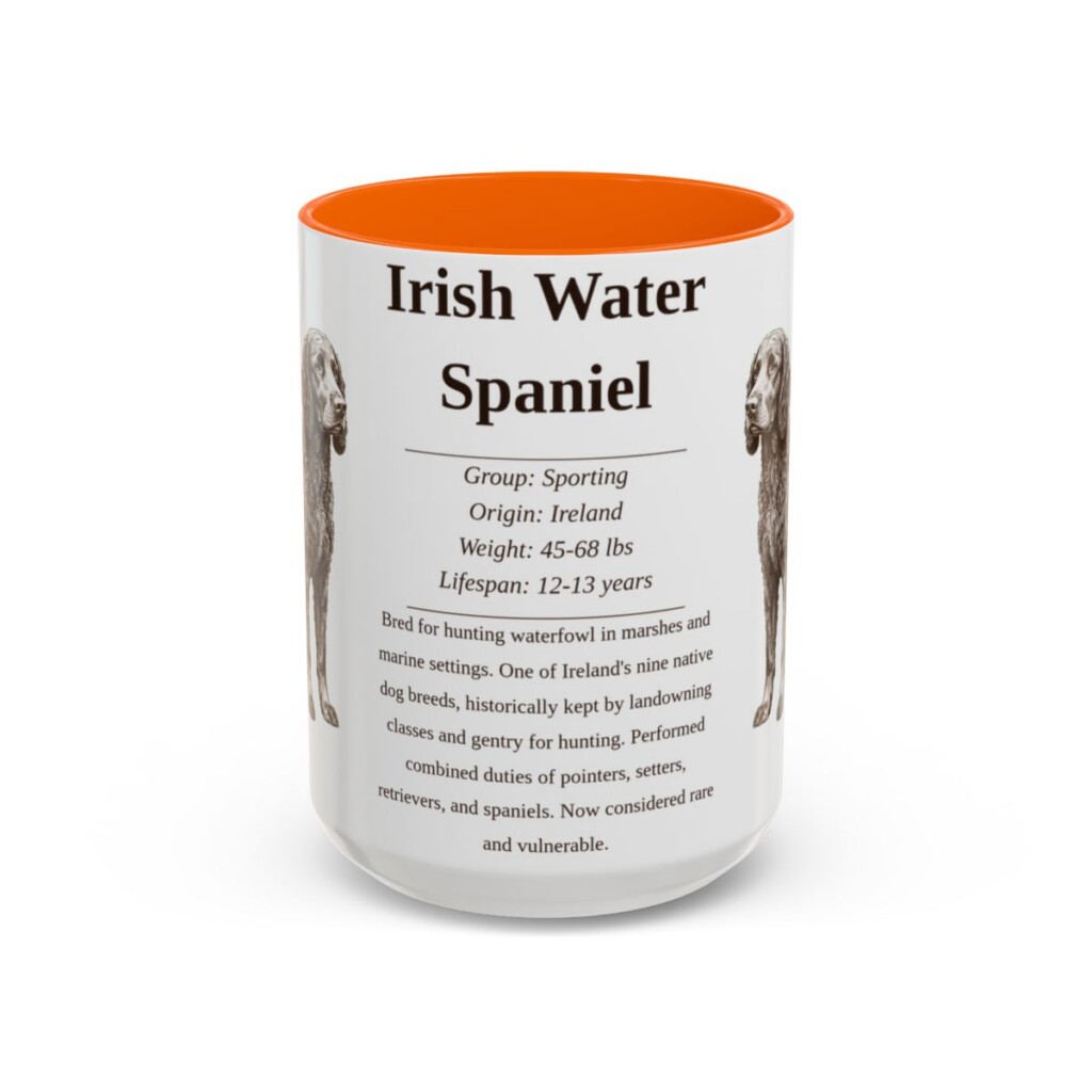 15oz irish water spaniel mug, Orange